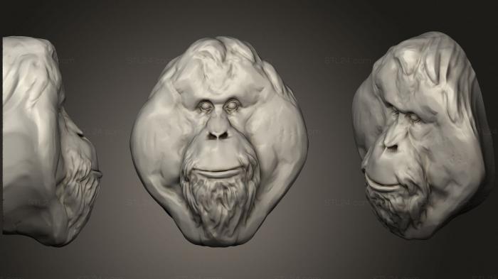 Маски и морды животных (Орангутанг 142, MSKJ_0336) 3D модель для ЧПУ станка