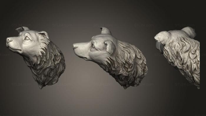 Маски и морды животных (Бордер - колли, MSKJ_0395) 3D модель для ЧПУ станка