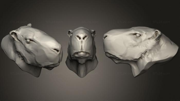 Маски и морды животных (Капибара 2, MSKJ_0406) 3D модель для ЧПУ станка