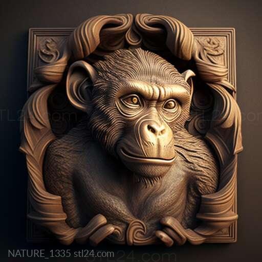 Nature and animals (st Pishgam macaque famous animal 3, NATURE_1335) 3D models for cnc