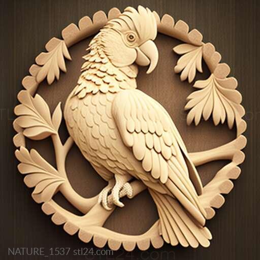 Nature and animals (st Cookie cockatoo famous animal 1, NATURE_1537) 3D models for cnc