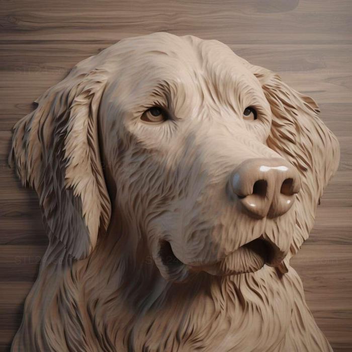 Nature and animals (st Straight haired Retriever dog 1, NATURE_1657) 3D models for cnc