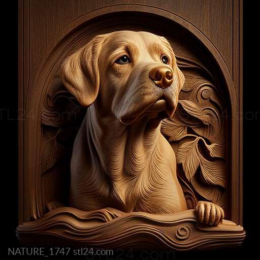 Природа и животные (Собака святого Отто знаменитое животное 3, NATURE_1747) 3D модель для ЧПУ станка
