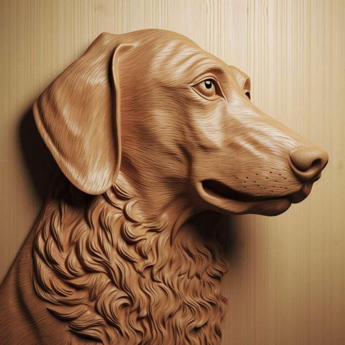 Helleforshund dog 2
