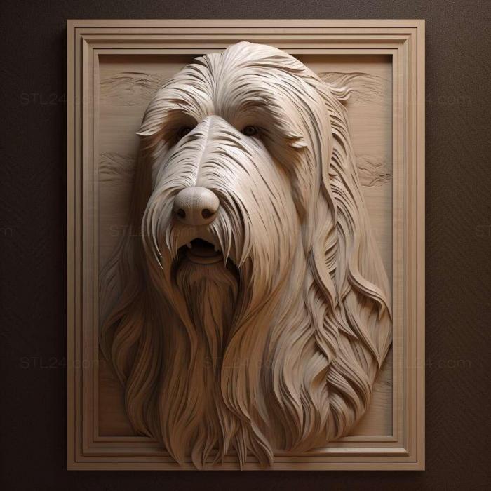 Bearded Collie dog 2