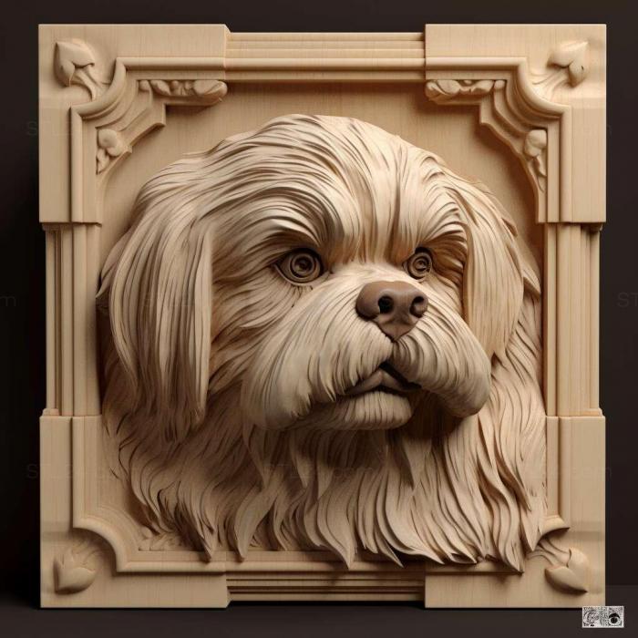 st Lhasa APSO dog 4