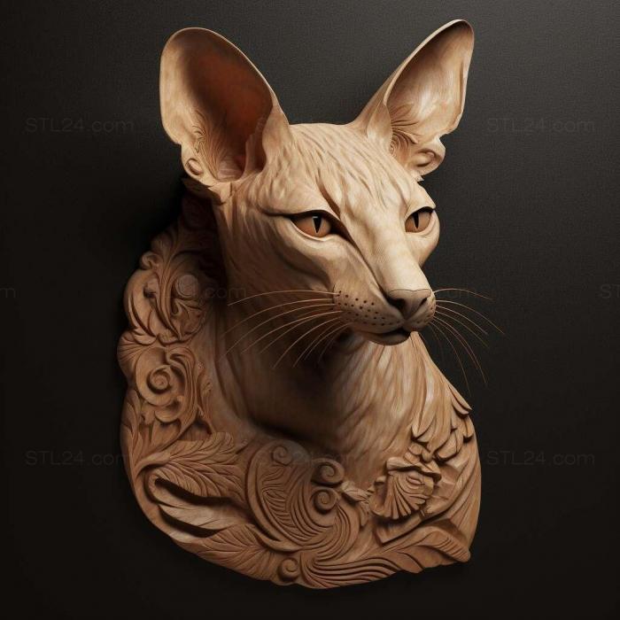 Oriental Shorthair cat 3