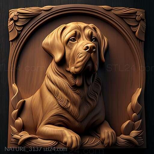 Nature and animals (st Leo the dog famous animal 1, NATURE_3137) 3D models for cnc