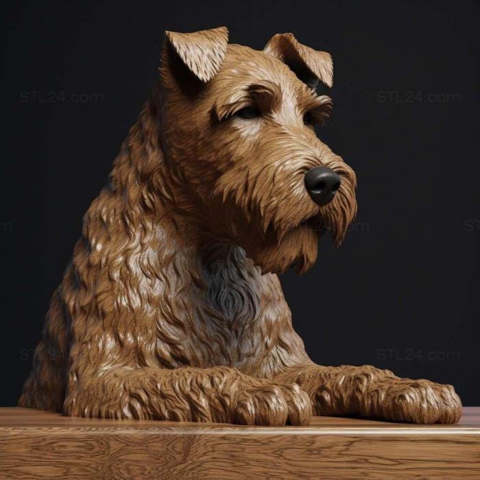 Welsh Terrier dog 3