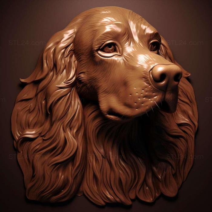 French Spaniel dog 4