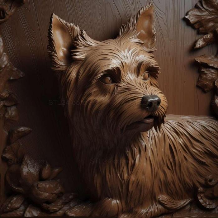 Beaver is a Yorkshire terrier dog 1