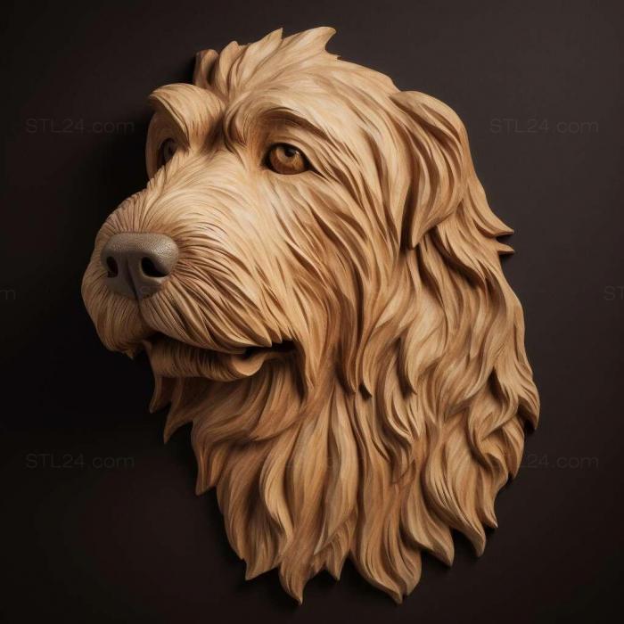 st Small Vendean Basset Griffon dog 1