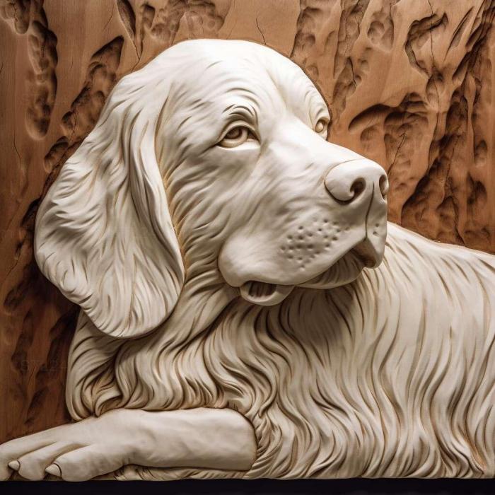 Природа и животные (Сент- Кламбер-спаниель собака 2, NATURE_4290) 3D модель для ЧПУ станка