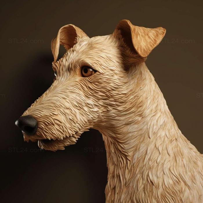 st Smooth haired fox terrier dog 2