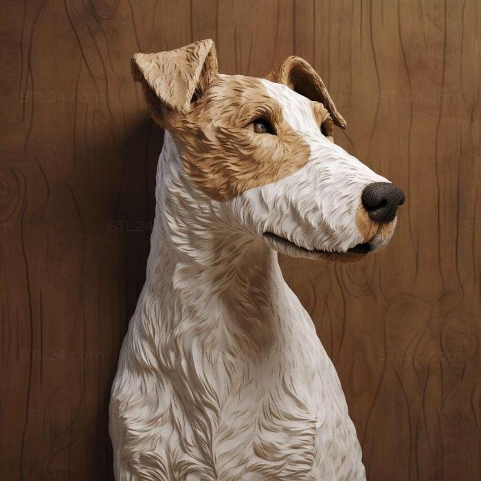 st Smooth haired fox terrier dog 3