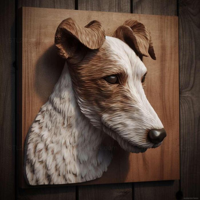 st Smooth haired fox terrier dog 4