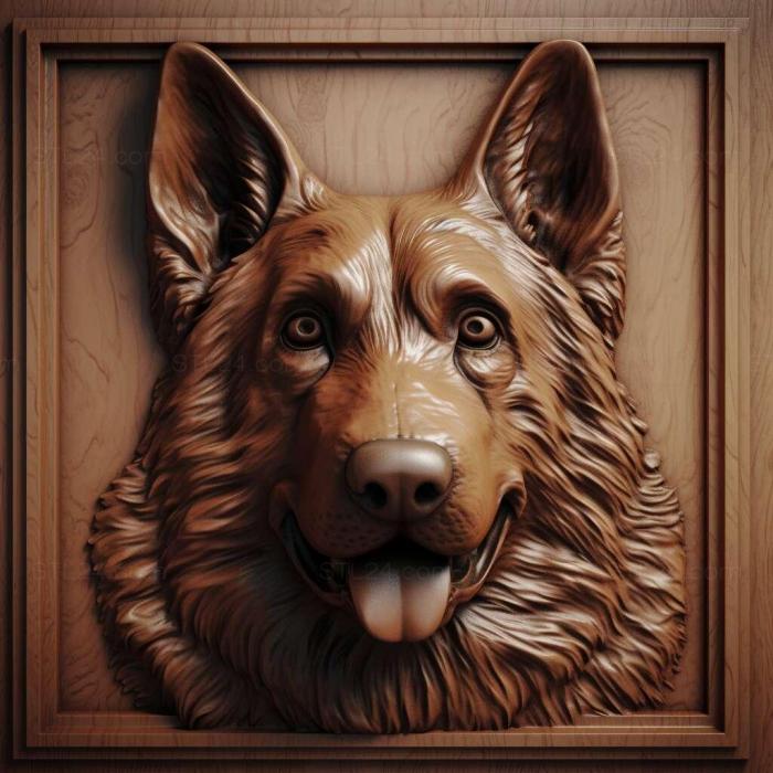 German Wachtelhund dog 1