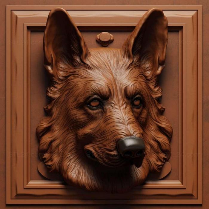German Wachtelhund dog 2