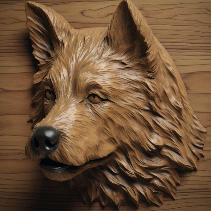 German Wachtelhund dog 3