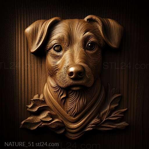 Nature and animals (st Boy dog famous animal 3, NATURE_51) 3D models for cnc
