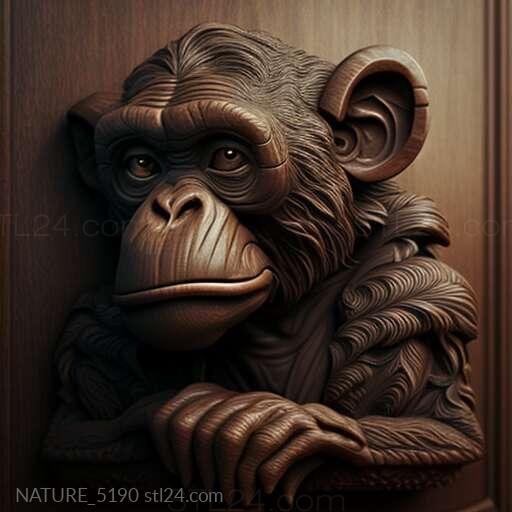 Сент-Микки шимпанзе знаменитое животное 2