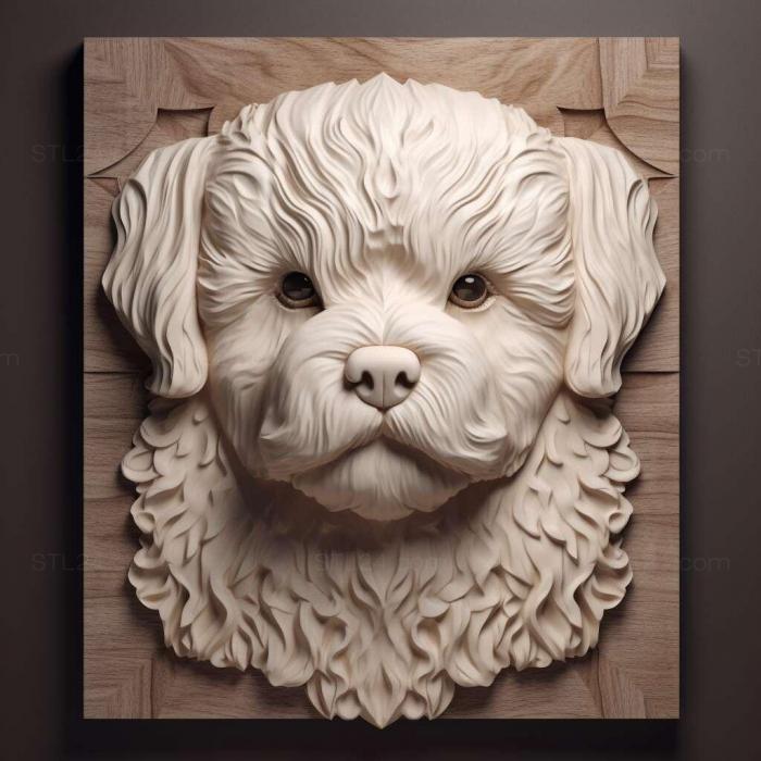 Nature and animals (st Bichon frise dog 2, NATURE_5482) 3D models for cnc