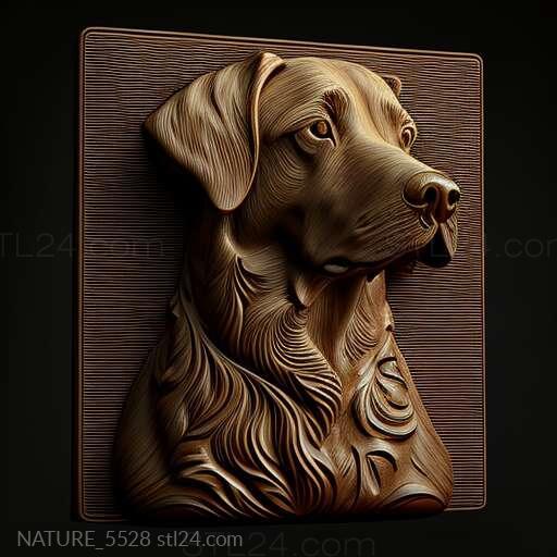 Природа и животные (Собака святого Коко знаменитое животное 4, NATURE_5528) 3D модель для ЧПУ станка