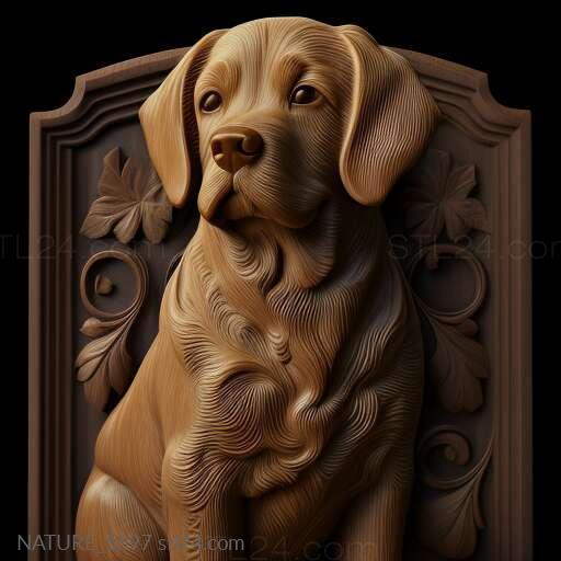 Nature and animals (st Barry the dog famous animal 1, NATURE_5597) 3D models for cnc