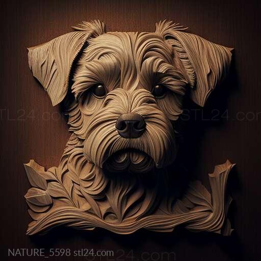 Nature and animals (st Barry the dog famous animal 2, NATURE_5598) 3D models for cnc