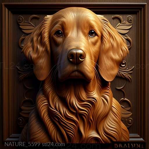 Nature and animals (st Barry the dog famous animal 3, NATURE_5599) 3D models for cnc