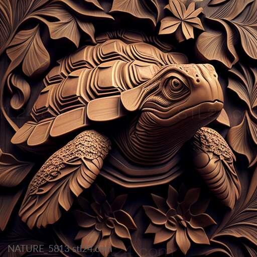 Nature and animals (st Diego turtle famous animal 1, NATURE_5813) 3D models for cnc