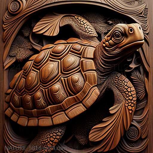 Nature and animals (st Diego turtle famous animal 4, NATURE_5816) 3D models for cnc