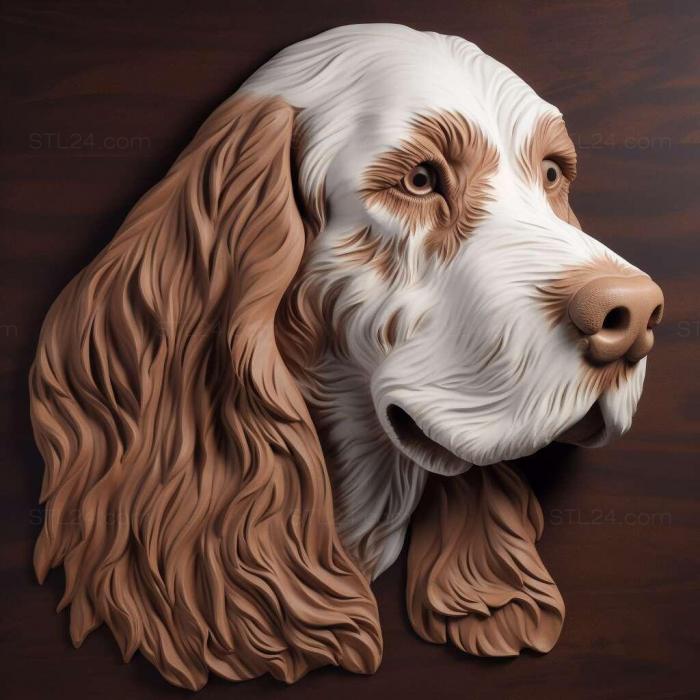 st Irish Red and White Setter dog 4