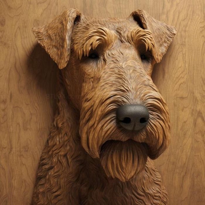 st Airedale Terrier dog 2