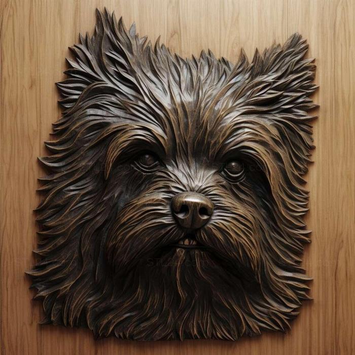 Nature and animals (st Affenpinscher dog 2, NATURE_594) 3D models for cnc