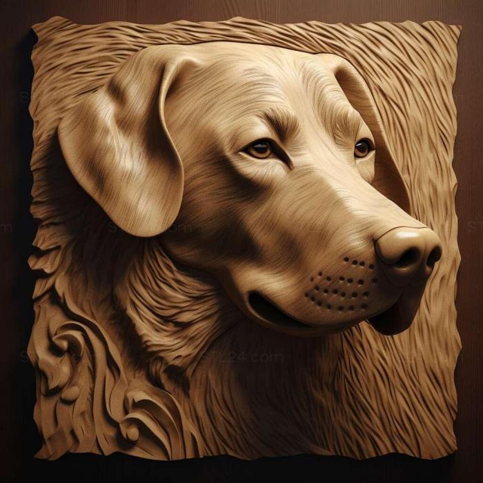 Природа и животные (Сент-Муди дог порода собак 4, NATURE_6164) 3D модель для ЧПУ станка