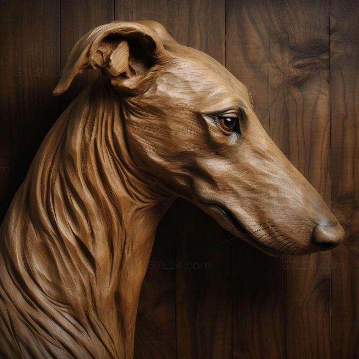 Horthaya greyhound dog 1