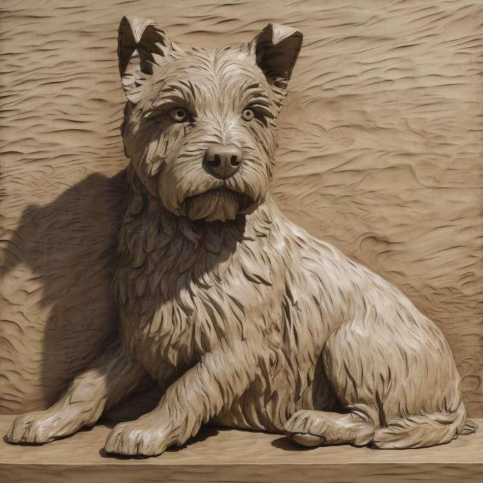 st Teddy is a Roosevelt Terrier dog 3
