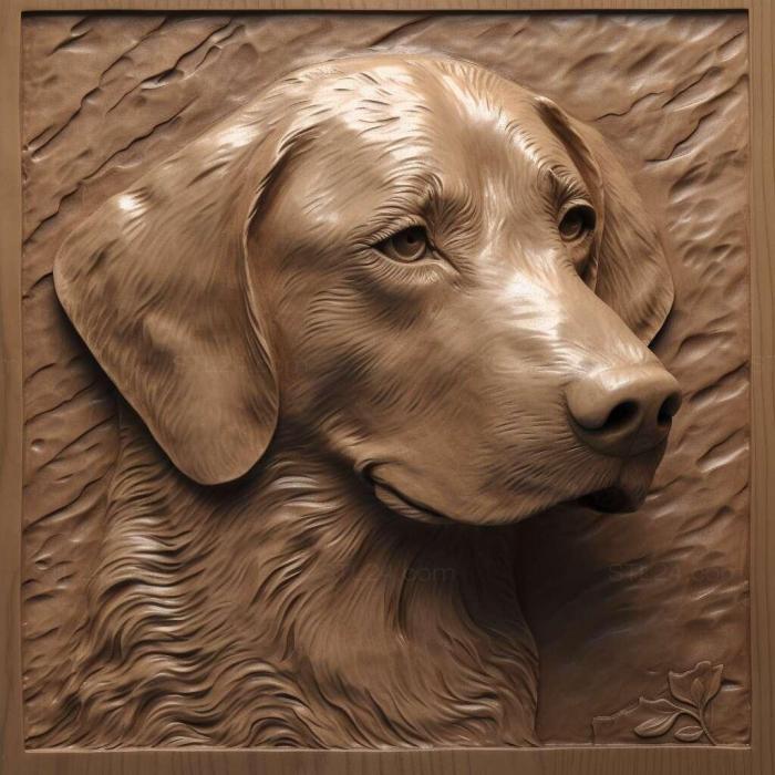 Nature and animals (The Nova Scotia Retriever dog 2, NATURE_6266) 3D models for cnc
