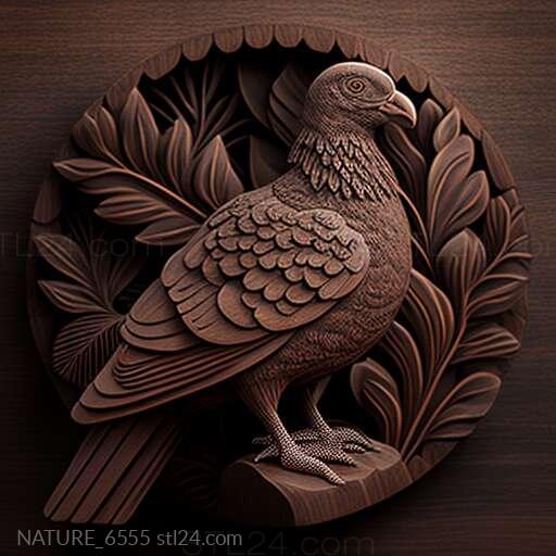 Nature and animals (st Martha the wandering pigeon famous animal 3, NATURE_6555) 3D models for cnc