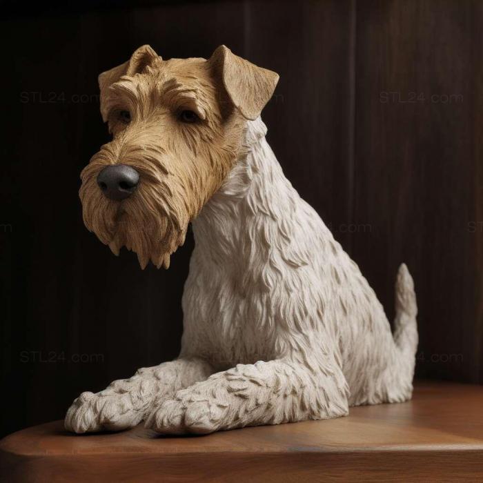 Wire haired fox terrier dog 4