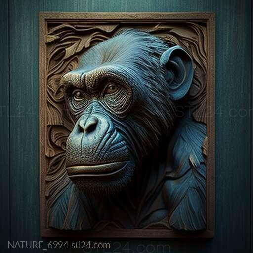 Nature and animals (st Congo chimpanzee famous animal 2, NATURE_6994) 3D models for cnc