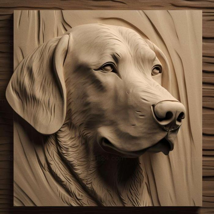 Природа и животные (Appenzeller sennenhund dog 3, NATURE_7083) 3D модель для ЧПУ станка