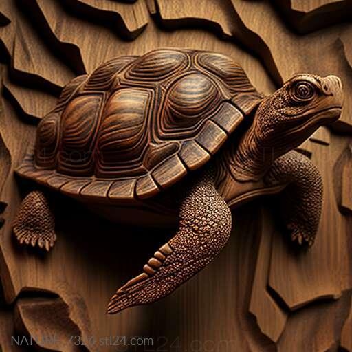 Природа и животные (Черепаха святого Кики знаменитое животное 2, NATURE_7326) 3D модель для ЧПУ станка