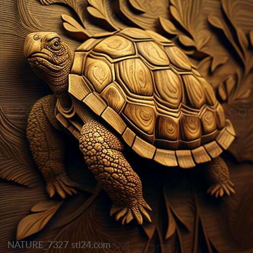 Nature and animals (st Kiki turtle famous animal 3, NATURE_7327) 3D models for cnc