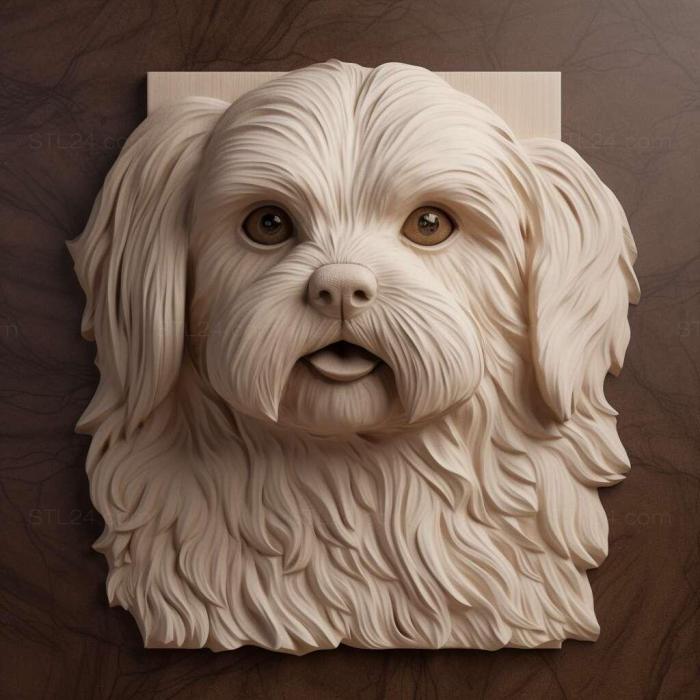 Nature and animals (Maltese Lapdog dog 2, NATURE_7350) 3D models for cnc