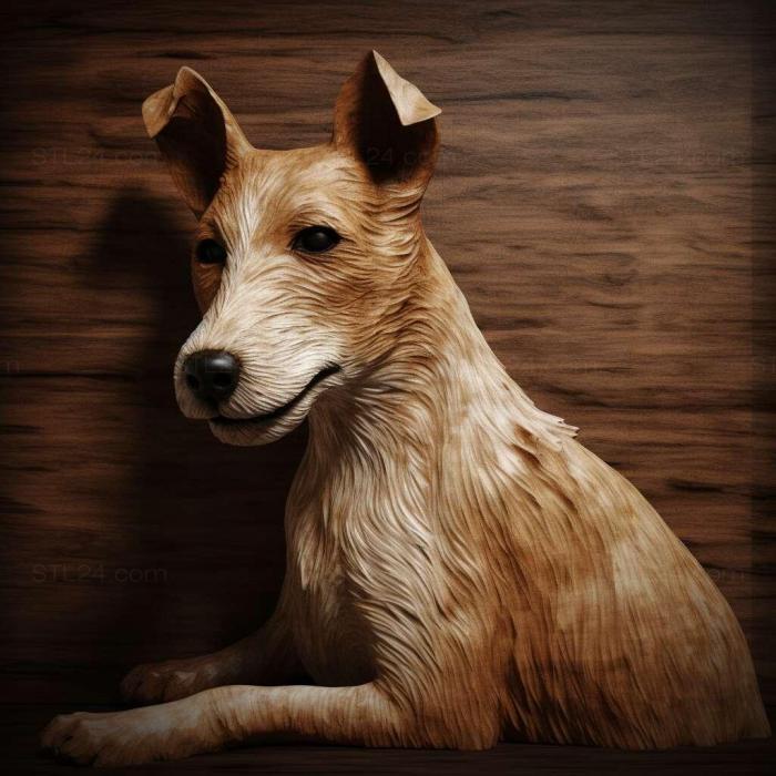 Smooth haired fox terrier dog 2