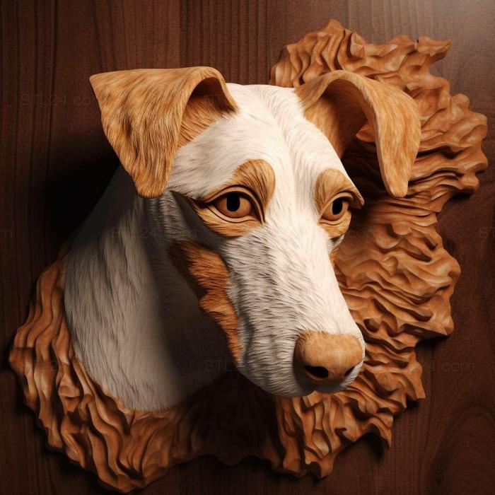 Smooth haired fox terrier dog 3