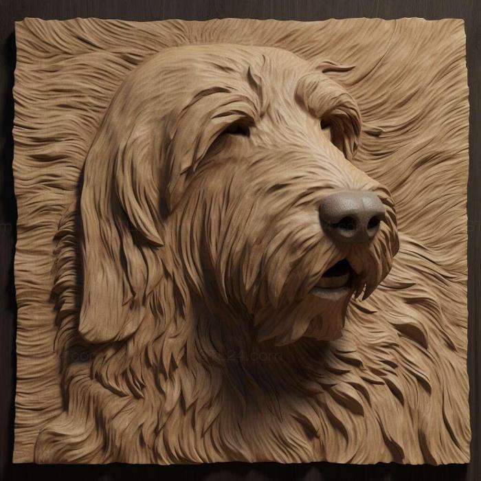 st Otterhound dog 3