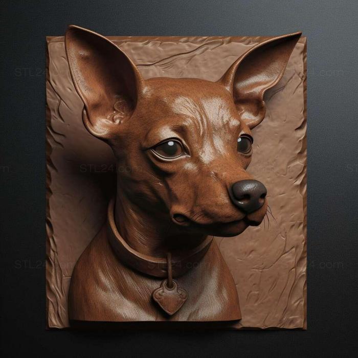 Dwarf Pinscher dog 1